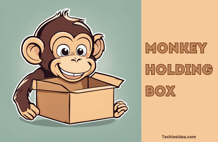 Monkey Holding Box